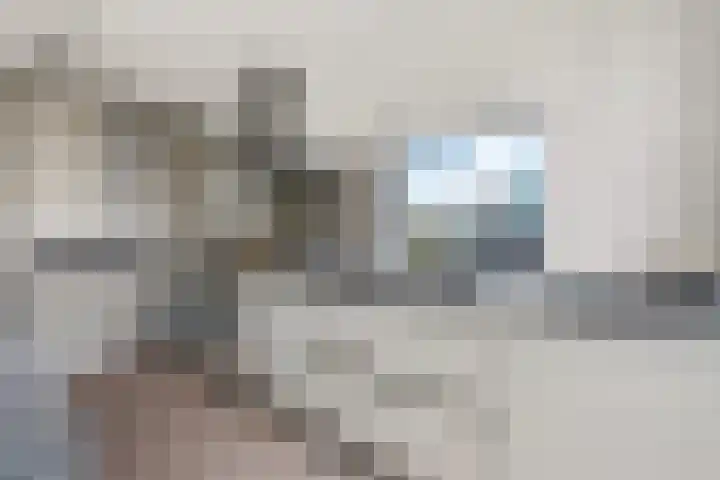 Brasem 2 Amersfoort thumbnail 4
