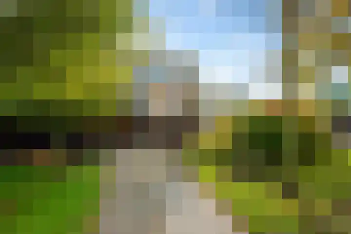 Brasem 2 Amersfoort thumbnail 5