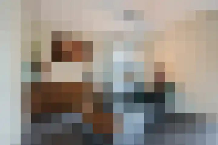 Brasem 2 Nieuwleusen thumbnail 11