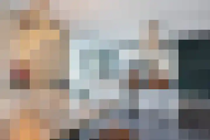 Brasem 2 Nieuwleusen thumbnail 12