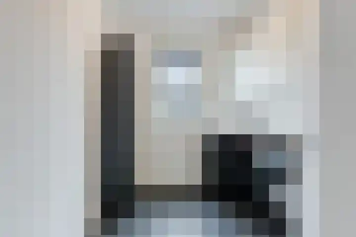 Brasem 2 Nieuwleusen thumbnail 16