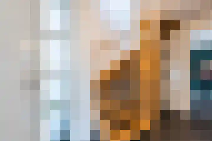 Brasem 2 Nieuwleusen thumbnail 17