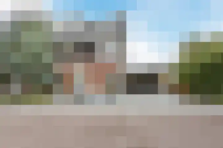Brasem 2 Nieuwleusen foto 2