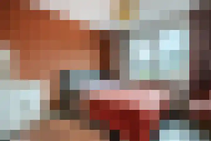 Brasem 2 Nieuwleusen thumbnail 20