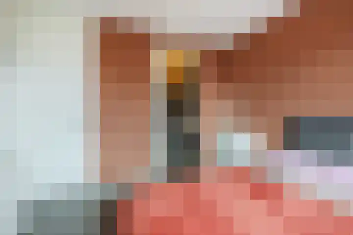 Brasem 2 Nieuwleusen thumbnail 21