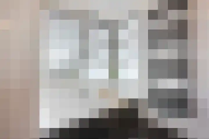 Brasem 2 Nieuwleusen thumbnail 23