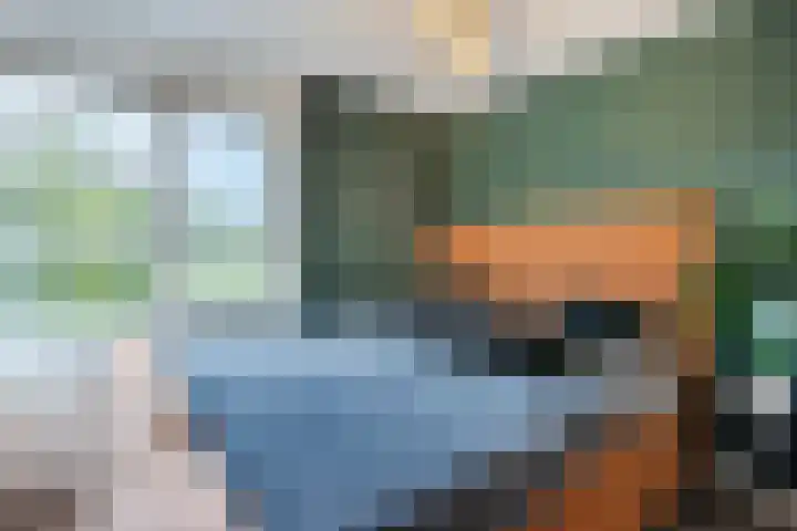 Brasem 2 Nieuwleusen thumbnail 26