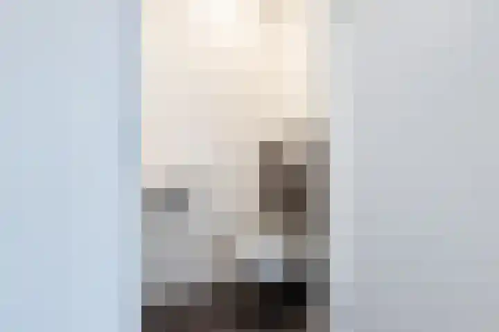 Brasem 2 Nieuwleusen thumbnail 27