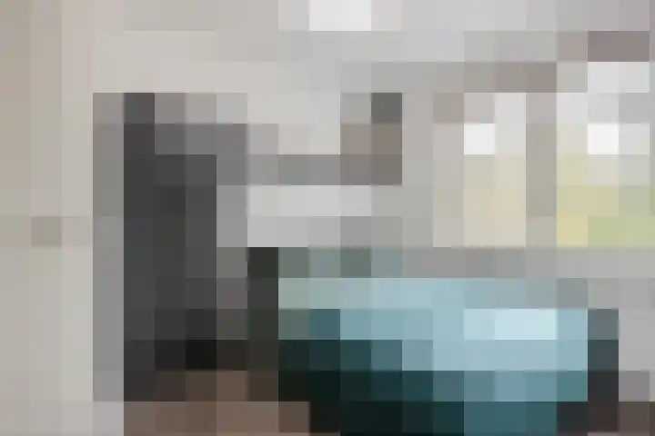 Brasem 2 Nieuwleusen thumbnail 28