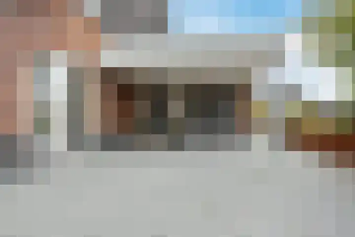 Brasem 2 Nieuwleusen foto 3