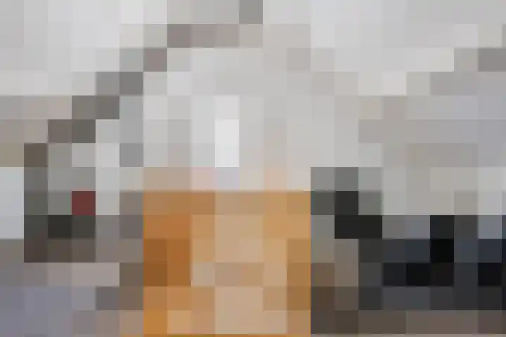 Brasem 2 Nieuwleusen thumbnail 30