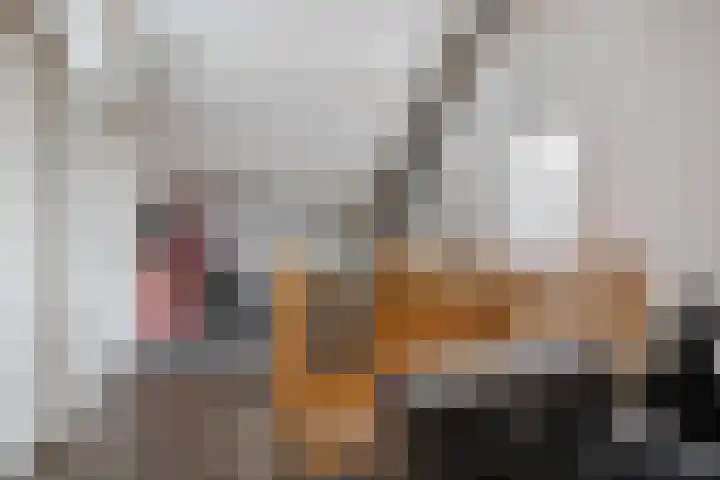 Brasem 2 Nieuwleusen thumbnail 31