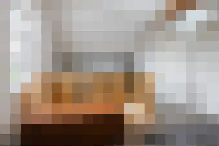 Brasem 2 Nieuwleusen thumbnail 32