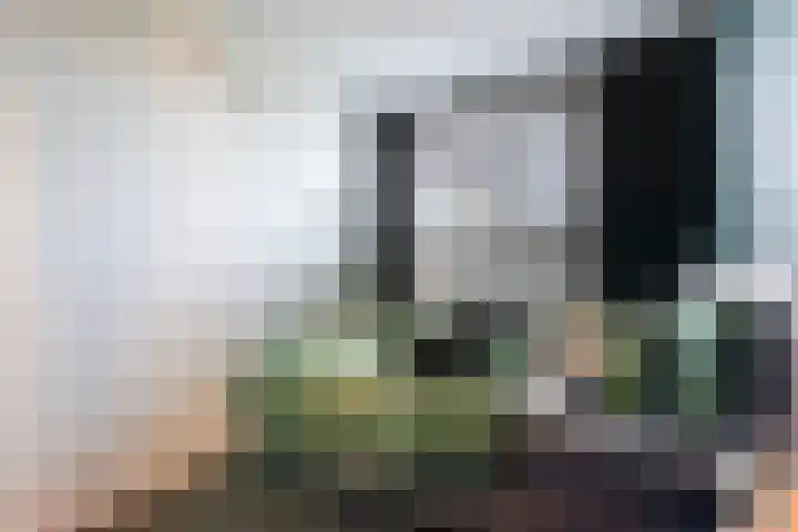 Brasem 2 Nieuwleusen thumbnail 33