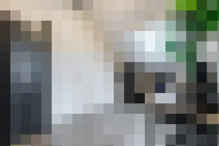 Brasem 2 Nieuwleusen thumbnail 34