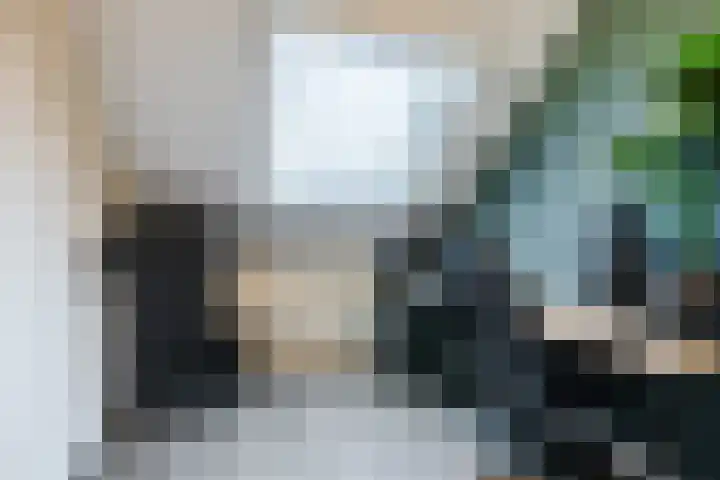 Brasem 2 Nieuwleusen thumbnail 35