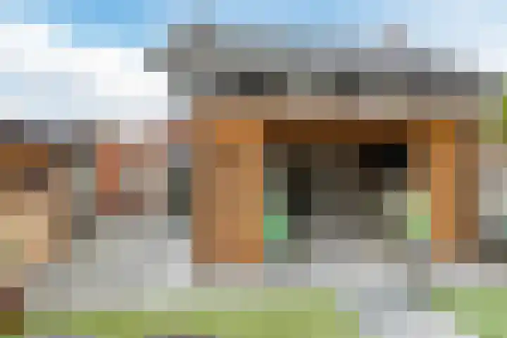 Brasem 2 Nieuwleusen thumbnail 37