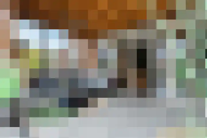 Brasem 2 Nieuwleusen thumbnail 38