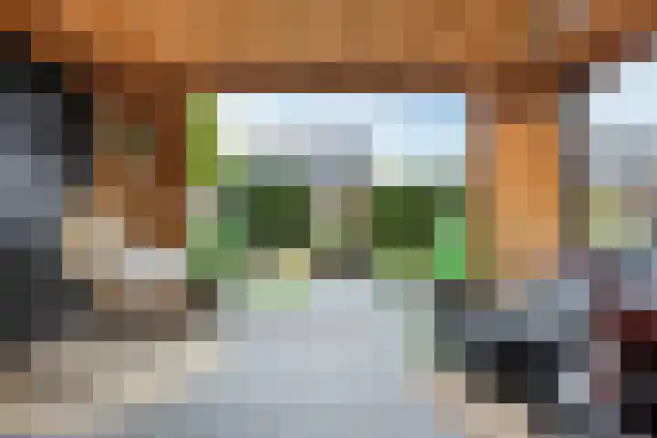 Brasem 2 Nieuwleusen thumbnail 39