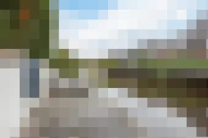 Brasem 2 Nieuwleusen thumbnail 4