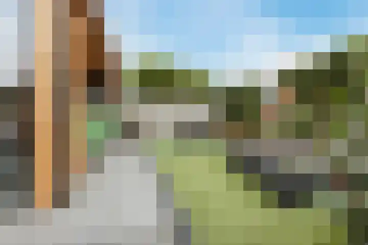 Brasem 2 Nieuwleusen thumbnail 40