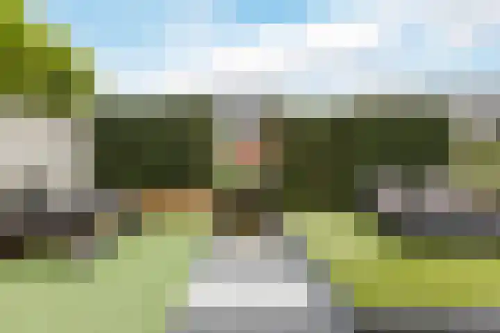 Brasem 2 Nieuwleusen thumbnail 41