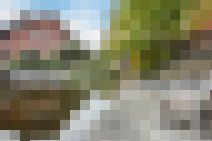 Brasem 2 Nieuwleusen thumbnail 43