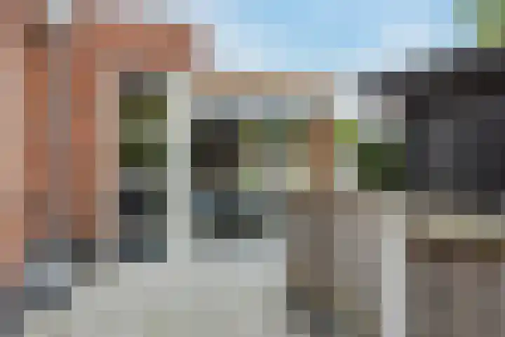 Brasem 2 Nieuwleusen thumbnail 44