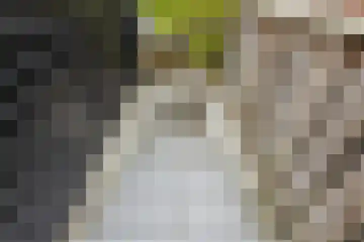 Brasem 2 Nieuwleusen thumbnail 45
