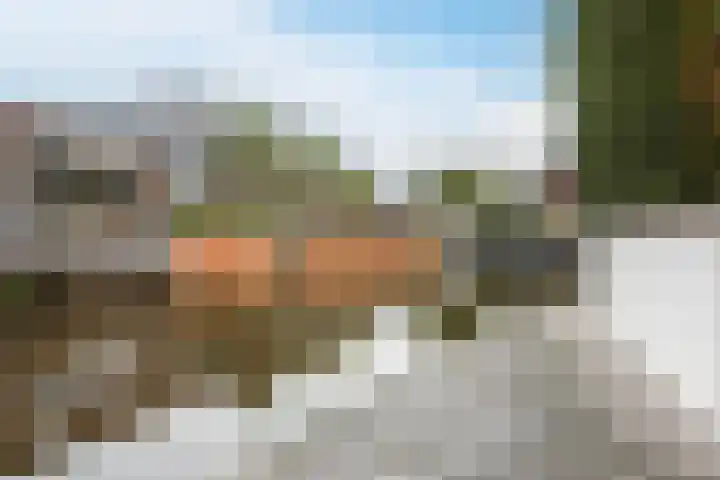 Brasem 2 Nieuwleusen thumbnail 46