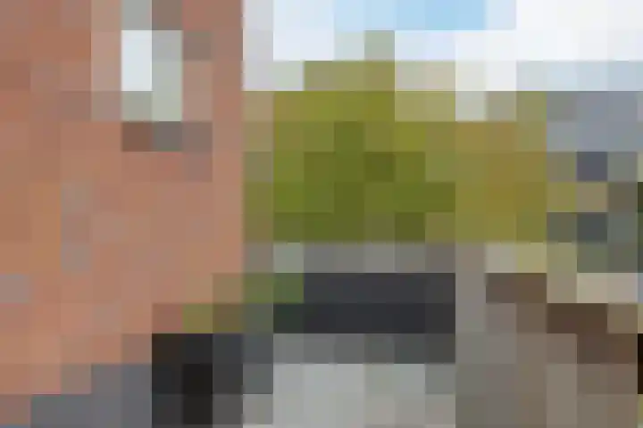 Brasem 2 Nieuwleusen thumbnail 48