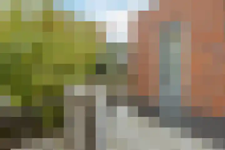 Brasem 2 Nieuwleusen thumbnail 49