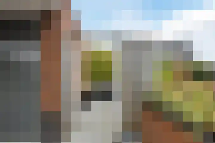 Brasem 2 Nieuwleusen thumbnail 50