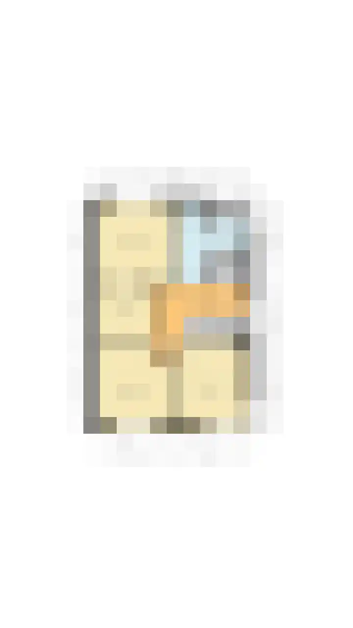 Brasem 2 Nieuwleusen thumbnail 59