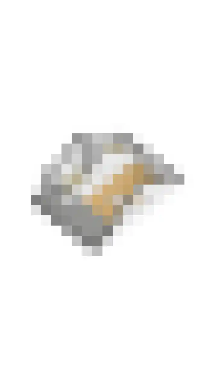 Brasem 2 Nieuwleusen thumbnail 62