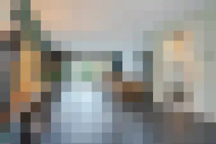 Brasem 2 Nieuwleusen thumbnail 9
