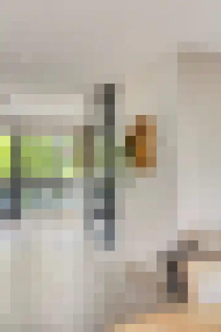 Brasem 20 Amersfoort thumbnail 15