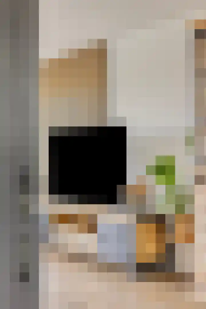 Brasem 20 Amersfoort thumbnail 16