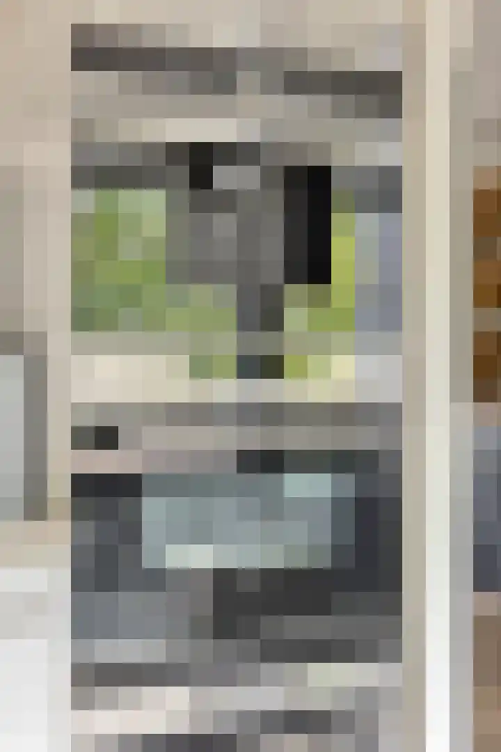 Brasem 20 Amersfoort thumbnail 17