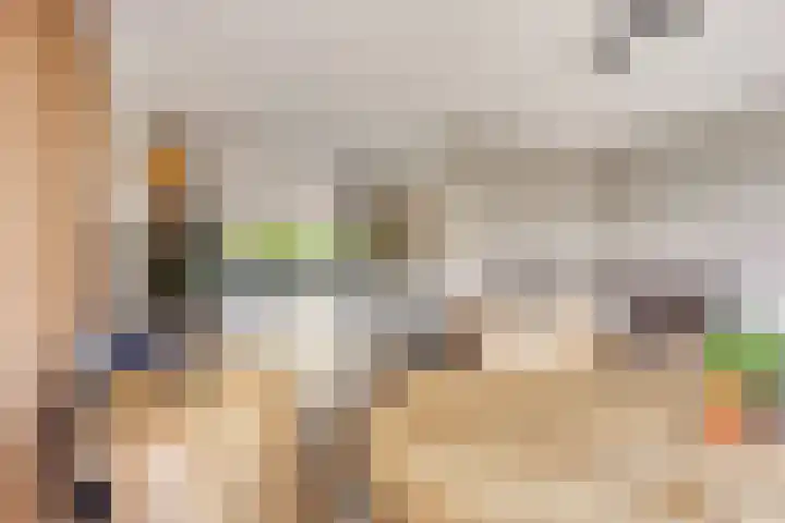 Brasem 20 Amersfoort thumbnail 19