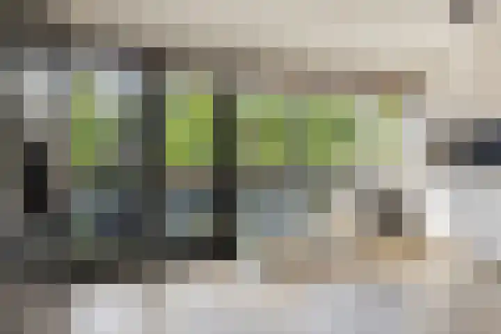 Brasem 20 Amersfoort thumbnail 23