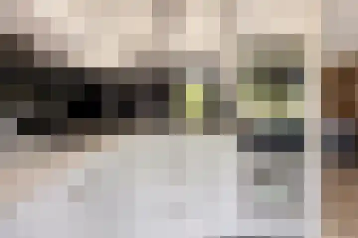 Brasem 20 Amersfoort thumbnail 24