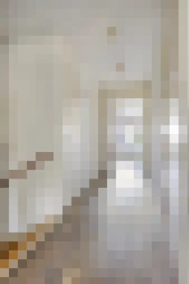 Brasem 20 Amersfoort thumbnail 26