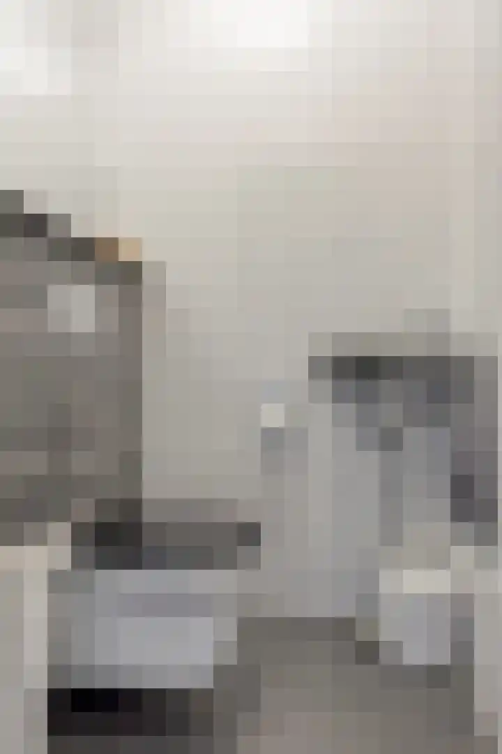 Brasem 20 Amersfoort thumbnail 27