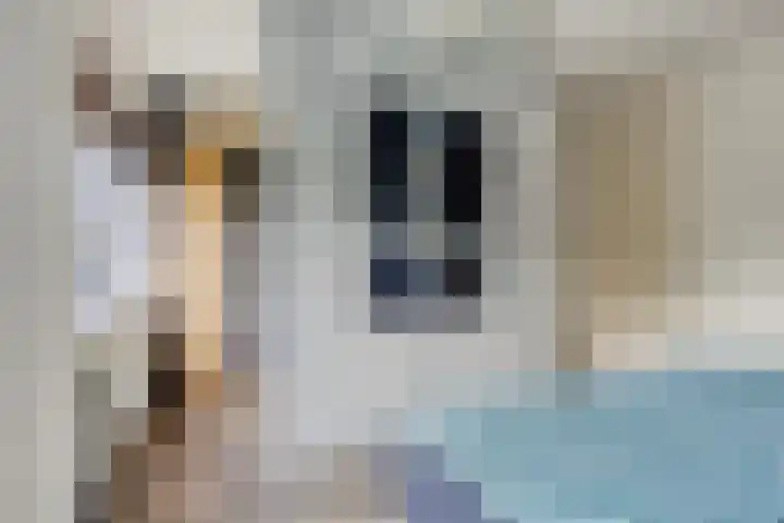 Brasem 20 Amersfoort thumbnail 29