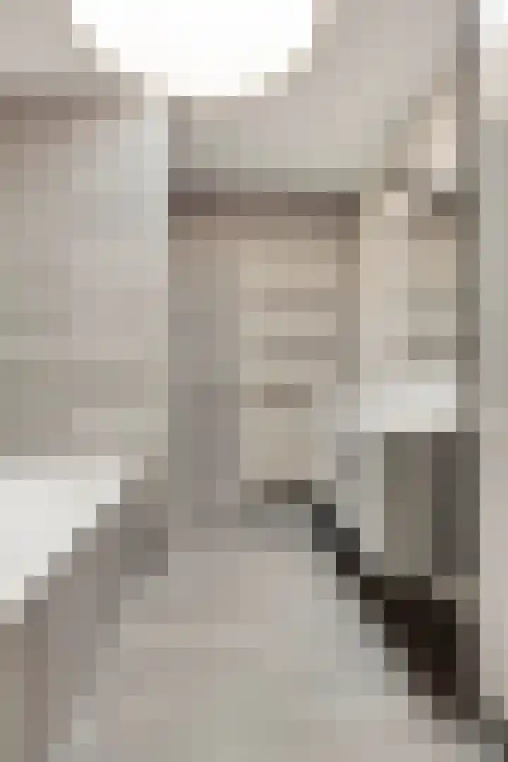 Brasem 20 Amersfoort thumbnail 33