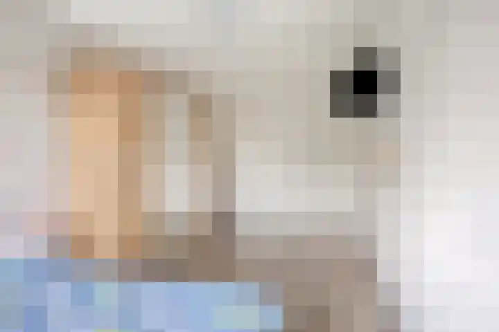 Brasem 20 Amersfoort thumbnail 35