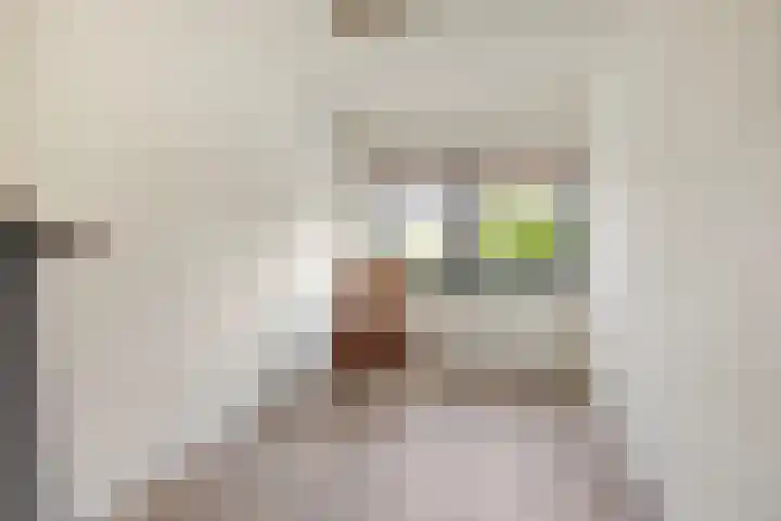 Brasem 20 Amersfoort thumbnail 36