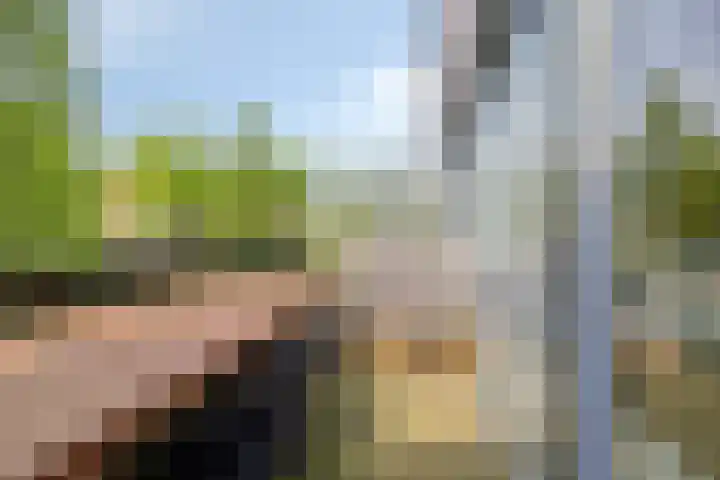 Brasem 20 Amersfoort thumbnail 38