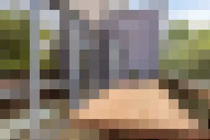 Brasem 20 Amersfoort thumbnail 39